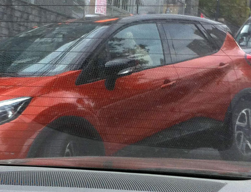 ZCapturoՙ 