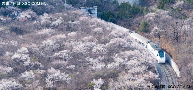 点评君的收藏夹 京城周围的那些花海