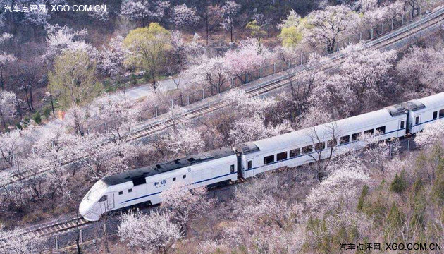 点评君的收藏夹 京城周围的那些花海