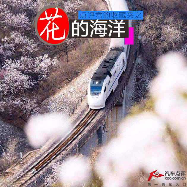 点评君的收藏夹 京城周围的那些花海
