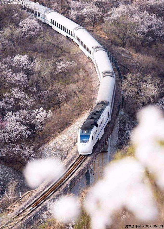 点评君的收藏夹 京城周围的那些花海