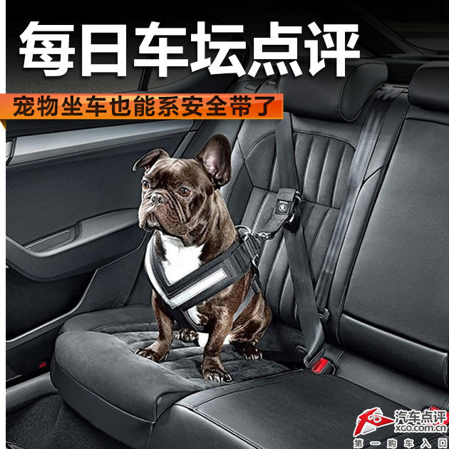 每日车坛点评 宠物坐车也能系安全带了