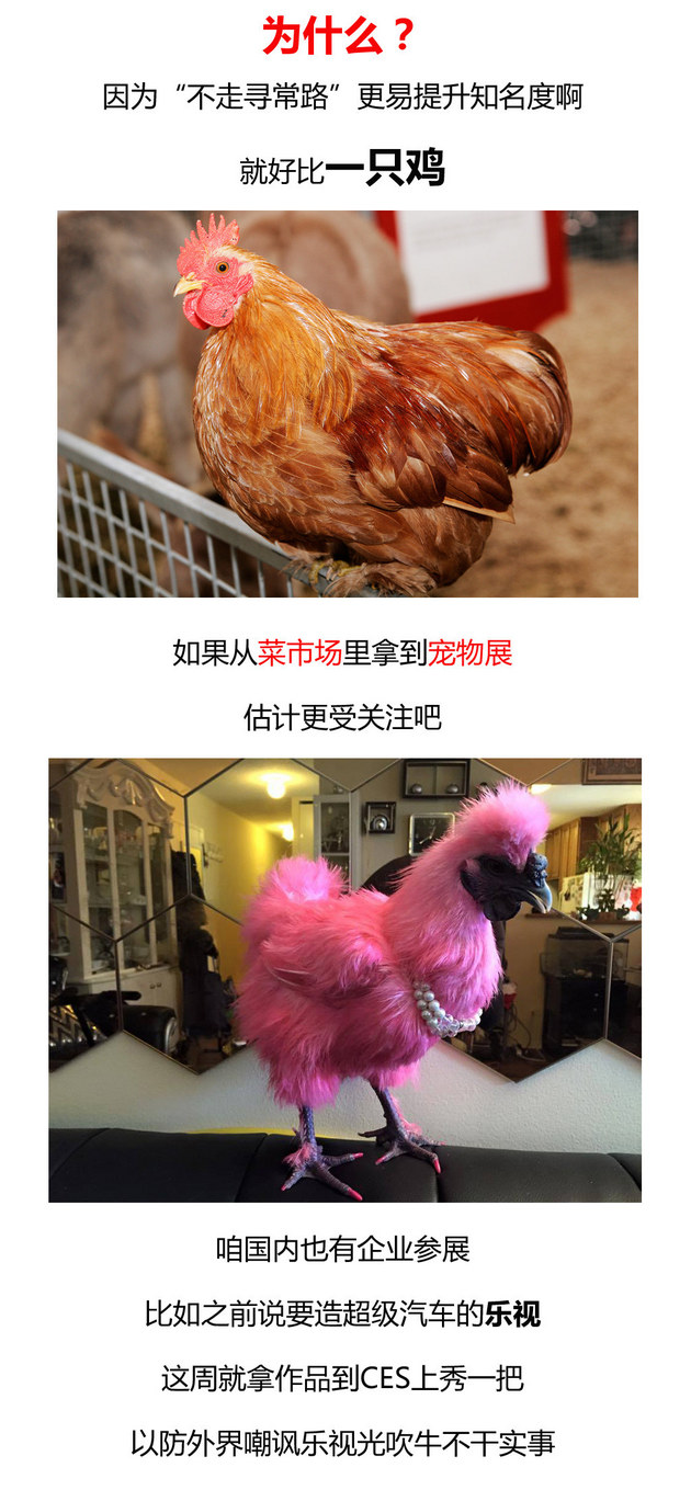 每周车界焦点：乐视吹的牛在CES上实现