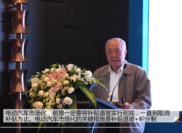 政策亟待修改 中国新能源汽车未来走向