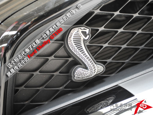 ٸ ҰRShelby GT500