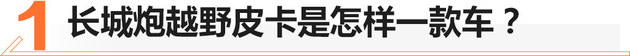 58秒看懂长城炮越野皮卡 全系标配三把锁