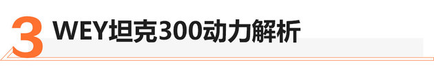 2020成都车展 WEY坦克300静态实拍解析