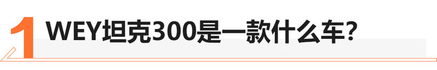 2020成都车展 WEY坦克300静态实拍解析