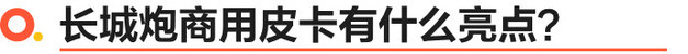 长城炮商用、乘用柴油皮卡上市 售价xx万起