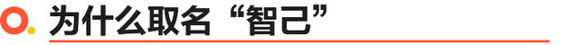 电池不衰减/4月接受预定/智己汽车品牌发布