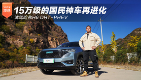 15fć܇M ԇ{H6 DHT-PHEV