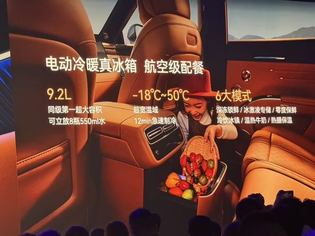 抢先置换价19.49万起 星途EX7正式上市