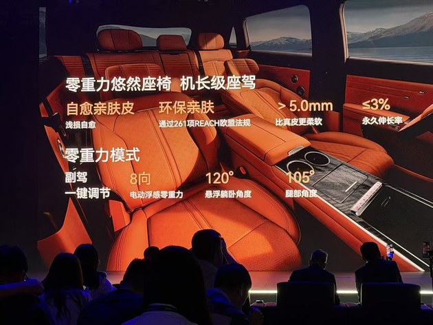 抢先置换价19.49万起 星途EX7正式上市