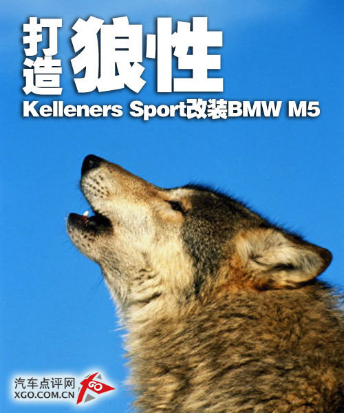 打造狼性 Kelleners Sport改装BMW M5