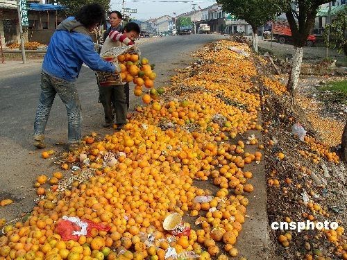 11月18事件蛆虫(1118事件蛆虫视频在哪儿看)