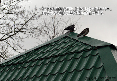 俄罗斯游记第一篇 圣彼得堡游夏宫/冬宫