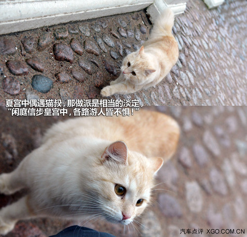 俄罗斯游记第一篇 圣彼得堡游夏宫/冬宫