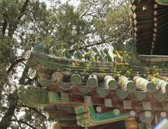“先潭柘后北京” SRX五月潭柘寺自驾游