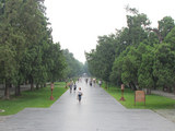 用心去旅行 跟随指南者去探寻南城文化