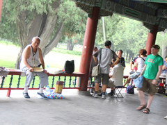 用心去旅行 跟随指南者去探寻南城文化