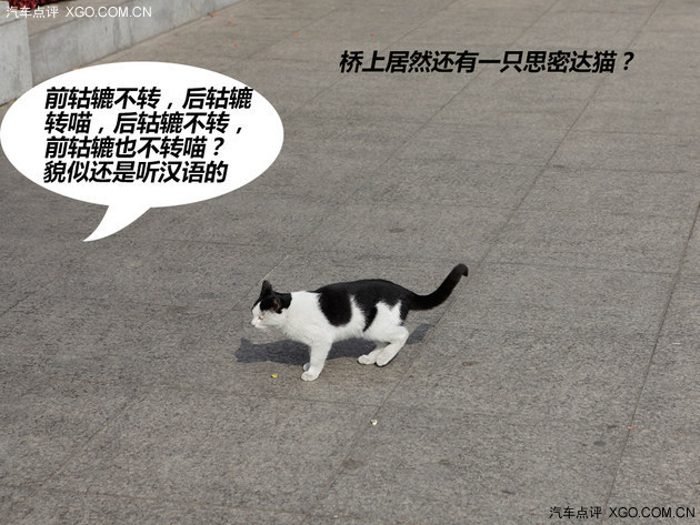 红叶/边境/朝鲜 福特探险者穿越游记