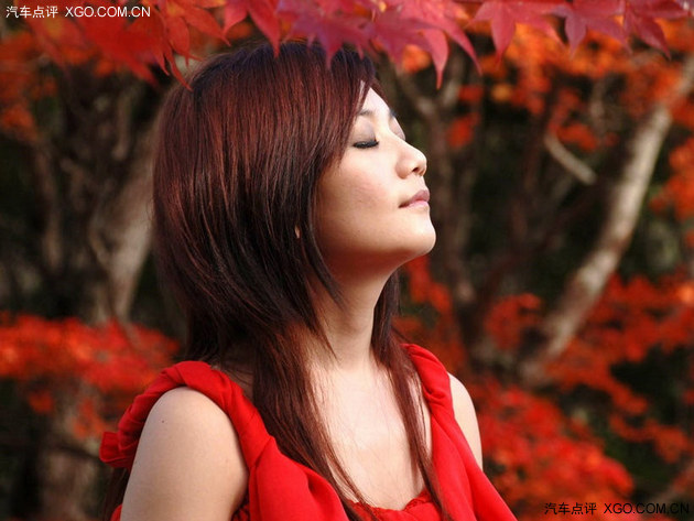 点评君的收藏夹(36)情人节消磨时光利器