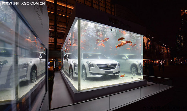 凯迪拉克CT6年年有“鱼”水映装置亮相上海新天地