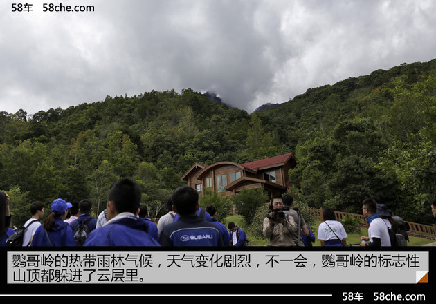 探访鹦哥岭 斯巴鲁31座森林星之旅（二）