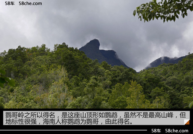 探访鹦哥岭 斯巴鲁31座森林星之旅（二）