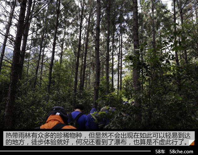 探访鹦哥岭 斯巴鲁31座森林星之旅（二）