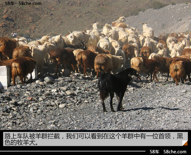 奇骏勇闯无人区 感受不一样的新疆之行