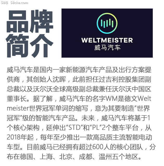 威马/奇点/爱驰等新品牌出现