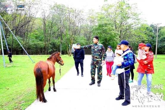 速度与激情沉浸式体验试驾会精彩呈现