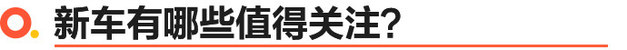 16.19万 哈弗大狗2.0T“中华田犬”预售开启