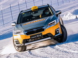 教你雪道的新玩法 斯巴鲁雪地TAXI体验