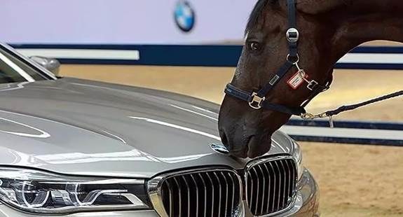 2021苏州宝宁BMW豪华车马术骑士之旅