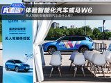 无人驾驶/会编程的汽车 威马W6《真值吗？》