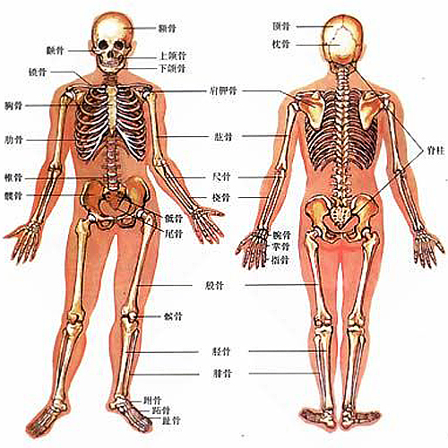 汽车不是铁疙瘩,靠车皮厚保证安全的是坦克