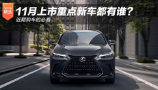 11月上市重点新车必看