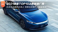 2021销量TOP10之新能源厂商