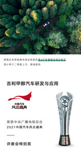 2021中国汽车 风云盛典评委会特别奖