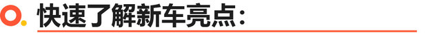 红旗H9+卓越定制版上市 可选多种内饰主题