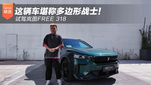 试驾岚图FREE 318