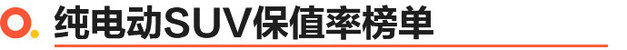 海外品牌都坐小孩那桌？ 2024纯电车保值率榜单解读