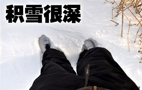破冰游艇！讴歌MDX尊享运动版冰雪试驾