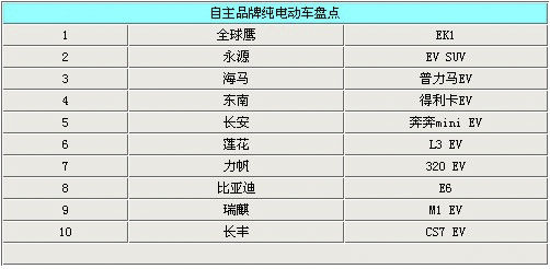 拒绝汽油 10款自主品牌纯电动汽车盘点