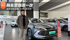智驾省钱选秦L DM-i智驾版