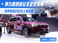 ʽ2025Ϻչ