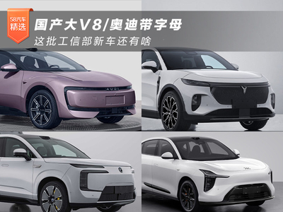 国产大V8/奥迪带字母 这批工信部新车还有啥
