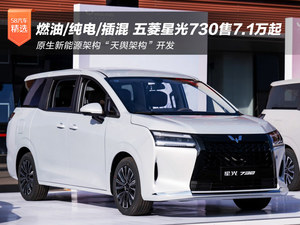 燃油/纯电/插混三种动力可选 五菱星光730售7.1万起